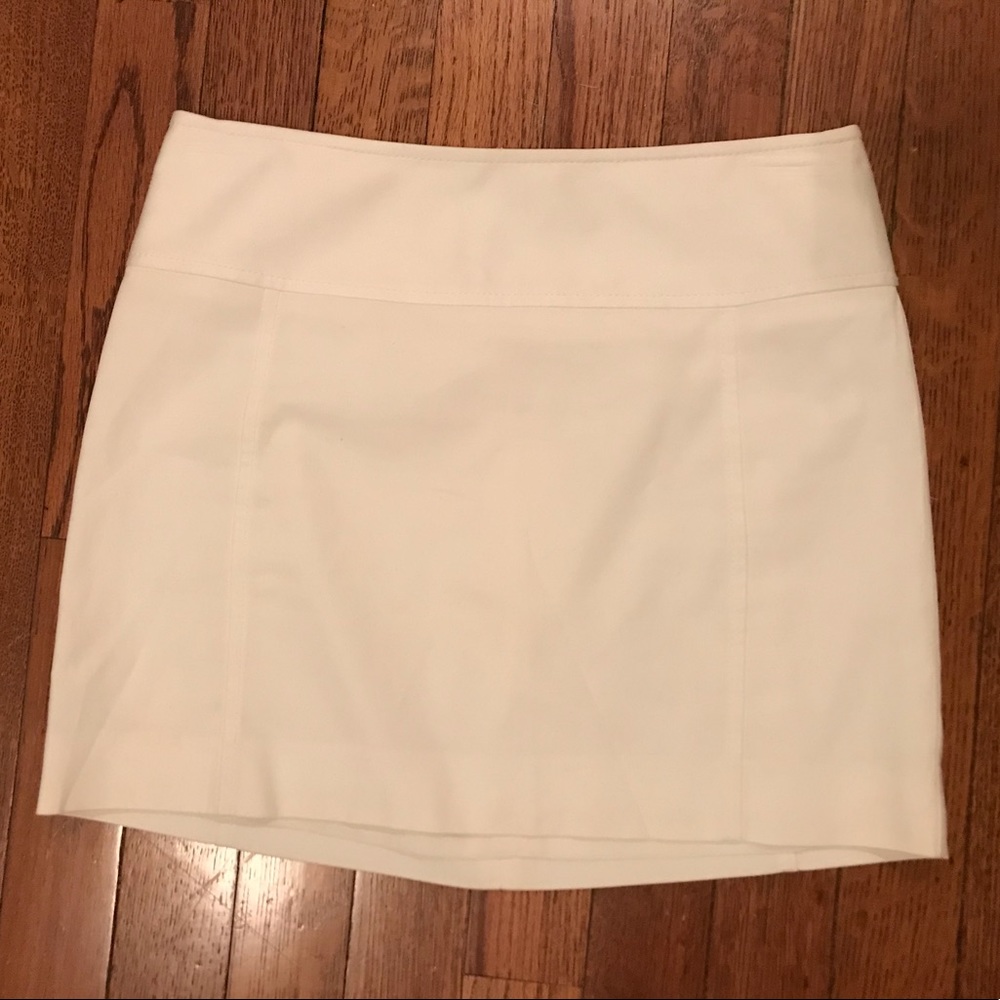 Express Mini Skirt - Picture 4 of 5